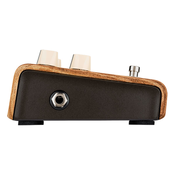 LR Baggs Align Series Session (Copy)