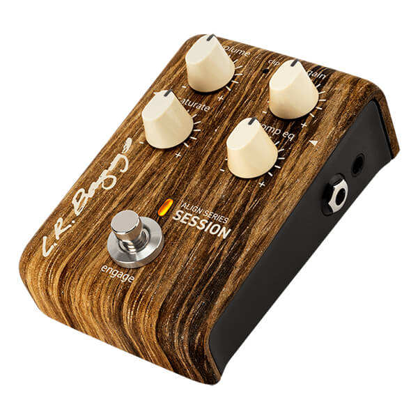 LR Baggs Align Series Session (Copy)