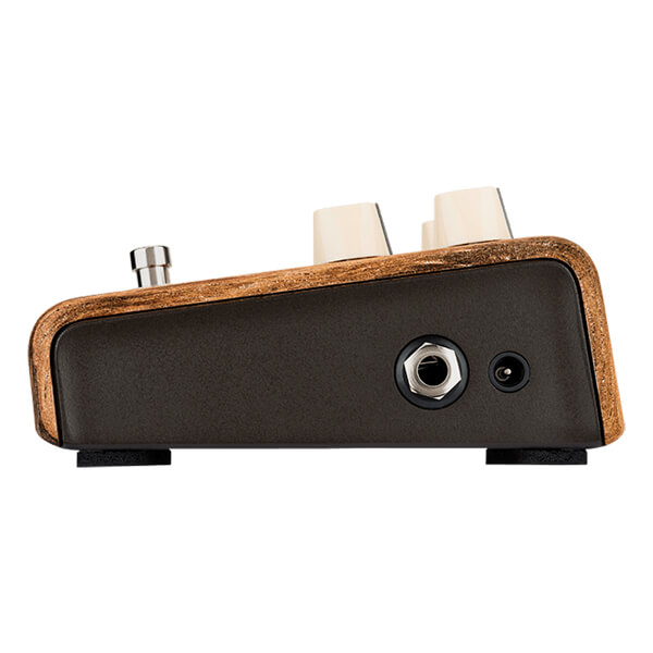 LR Baggs Align Series Session (Copy)