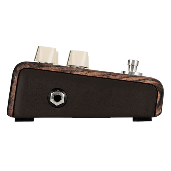 LR Baggs Align Series Chorus (Copy)