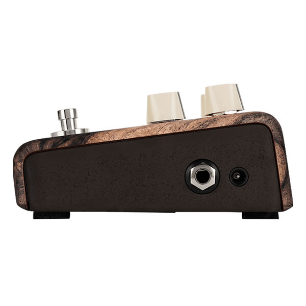 LR Baggs Align Series Chorus (Copy)