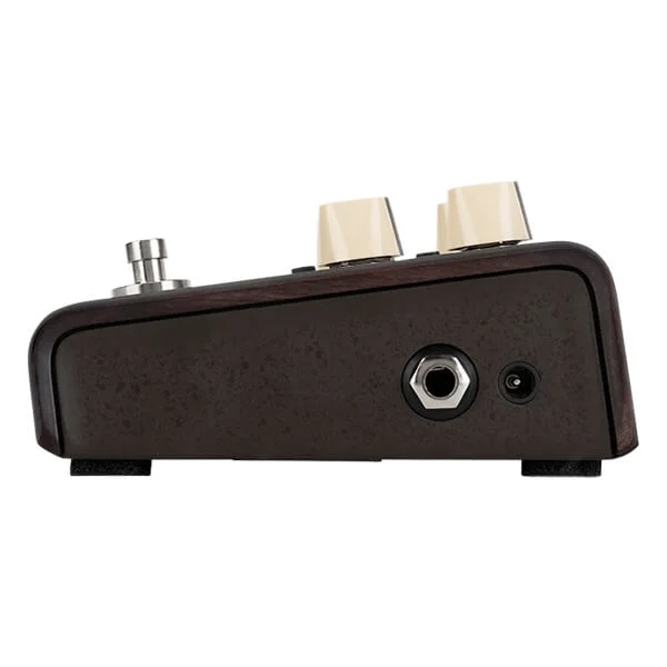 LR Baggs Align Series Delay (Copy)