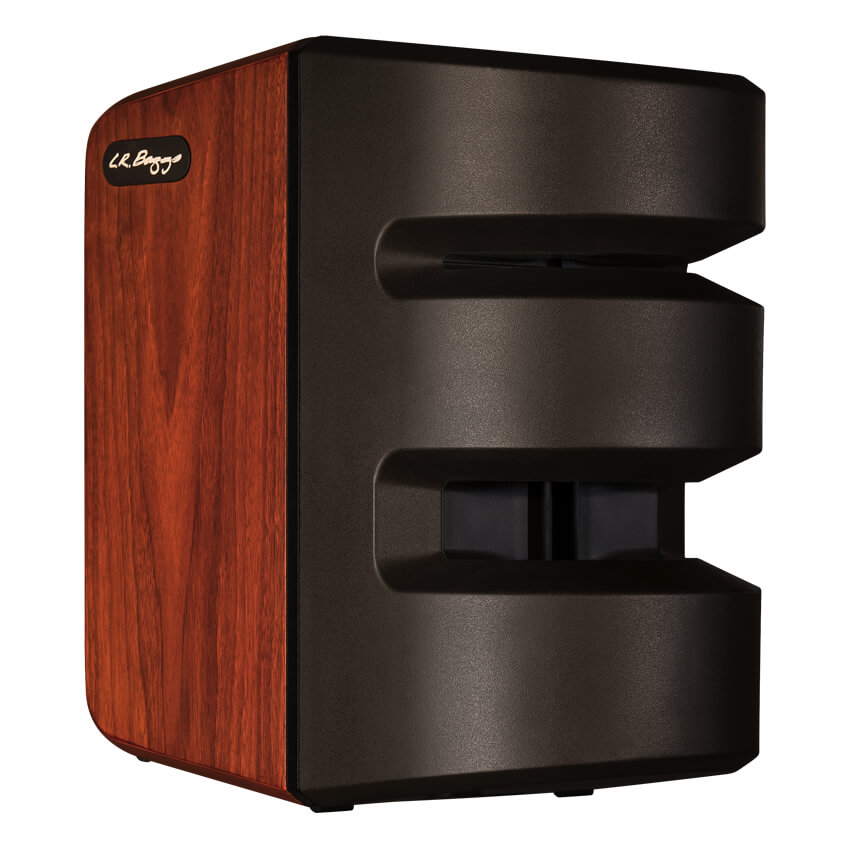 LR Baggs Synapse persönliches PA-System
