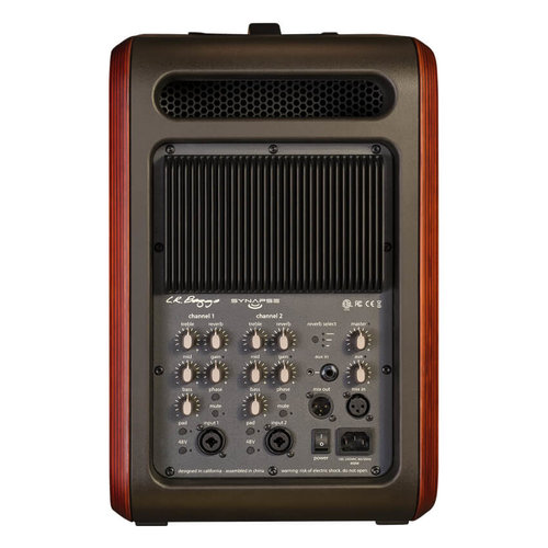 LR Baggs Synapse Personal PA System