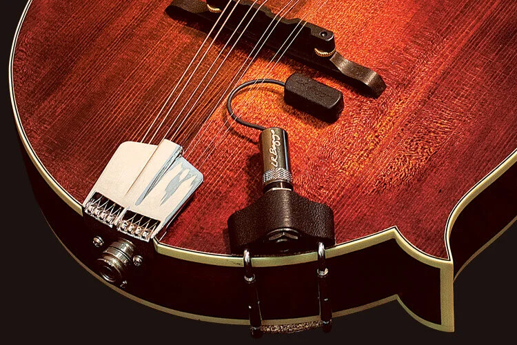 Radius Mandolin Pickup