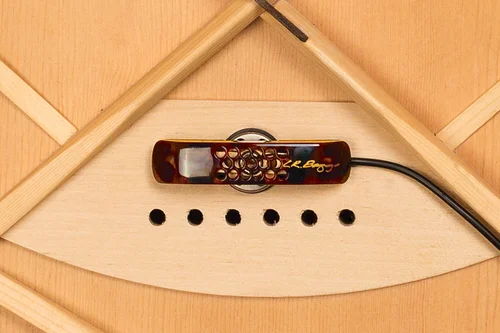 Lyric Acoustic Guitar Pickup Microphone Lr Baggs