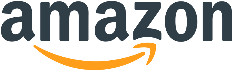 Lyric Acoustic Guitar Pickup Microphone Lr Baggs