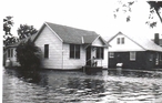 Hurricane Connie 1955
