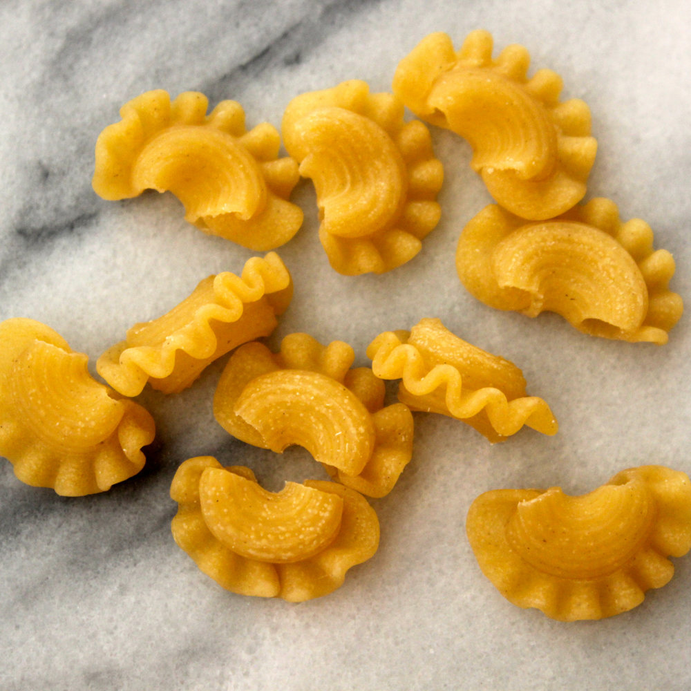 Creste di Gallo pasta, luxuriously smothered in creamy taleggio