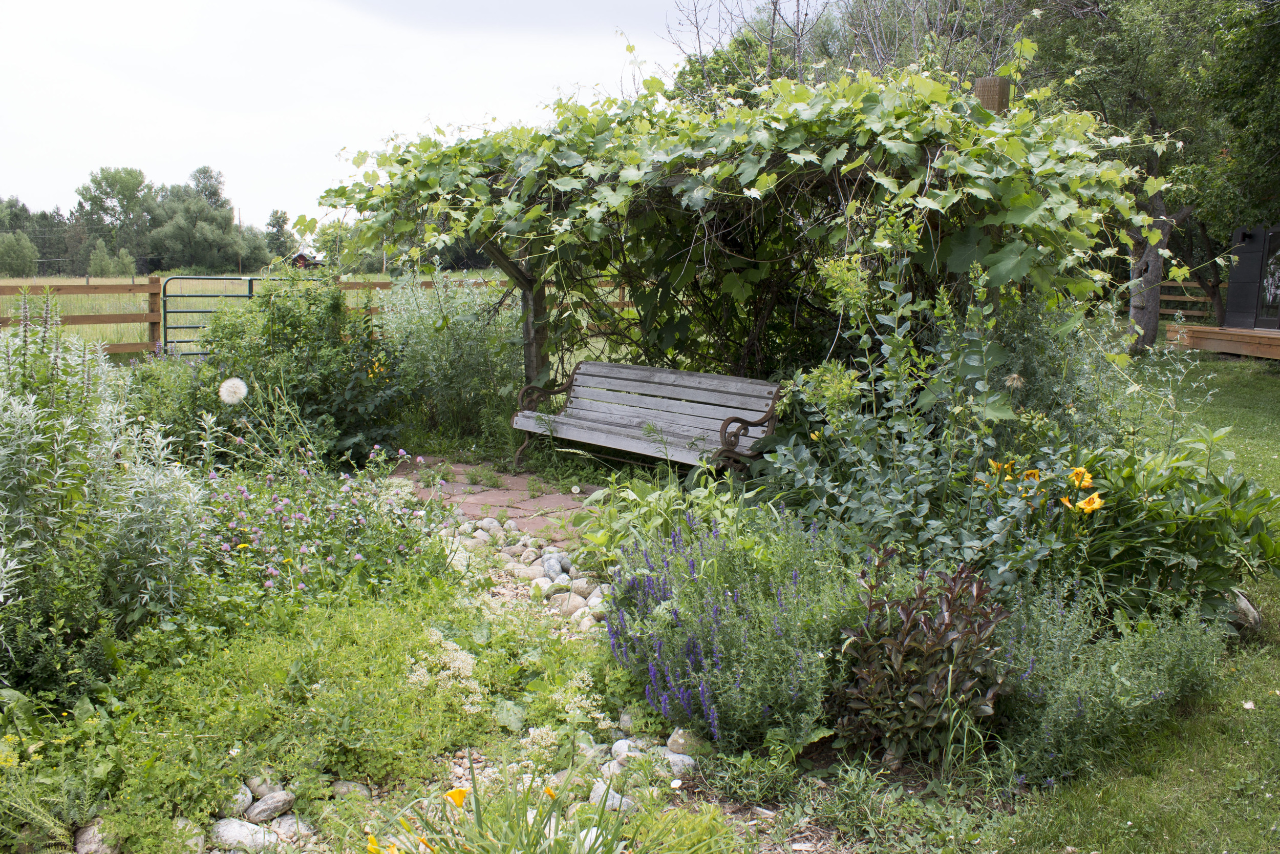 The flower garden.