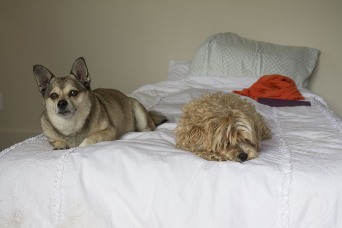 Klaus and Marlow listen intently. 