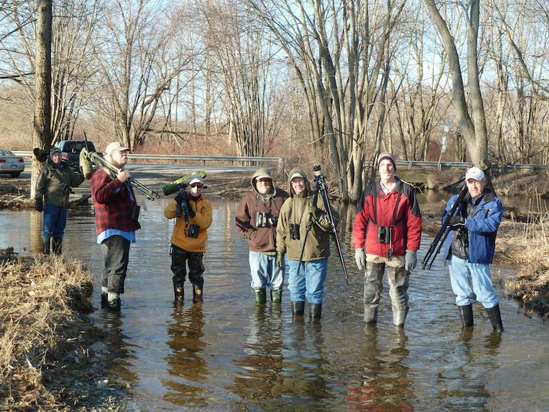 Join our walks to observe and identify birds and appreciate their natural settings.