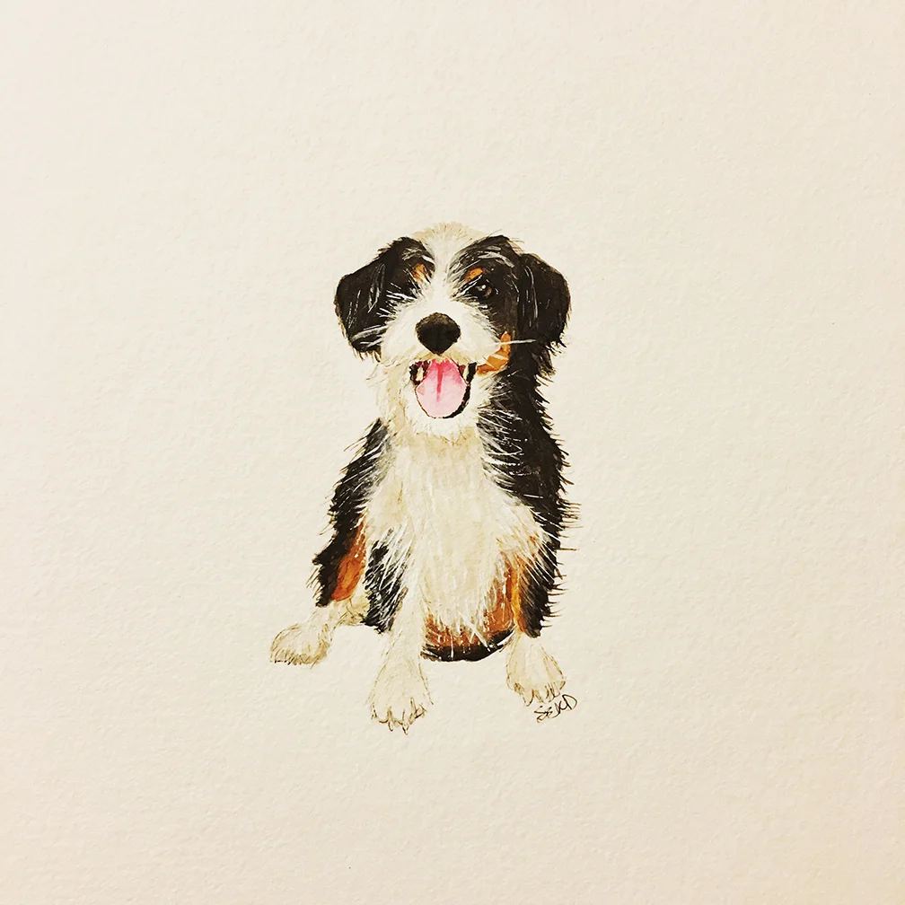 Murphy