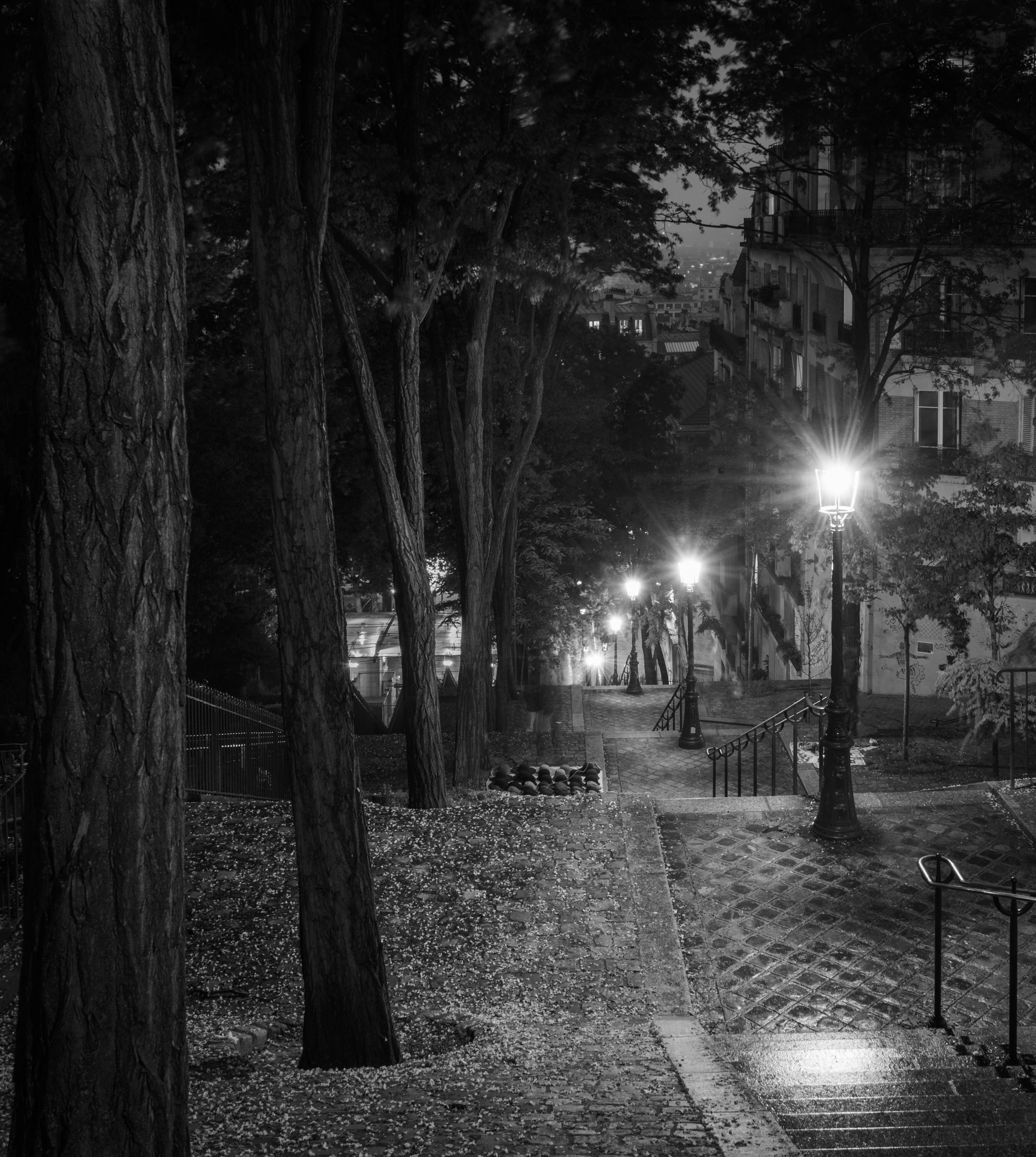 Stairs of Montmartre