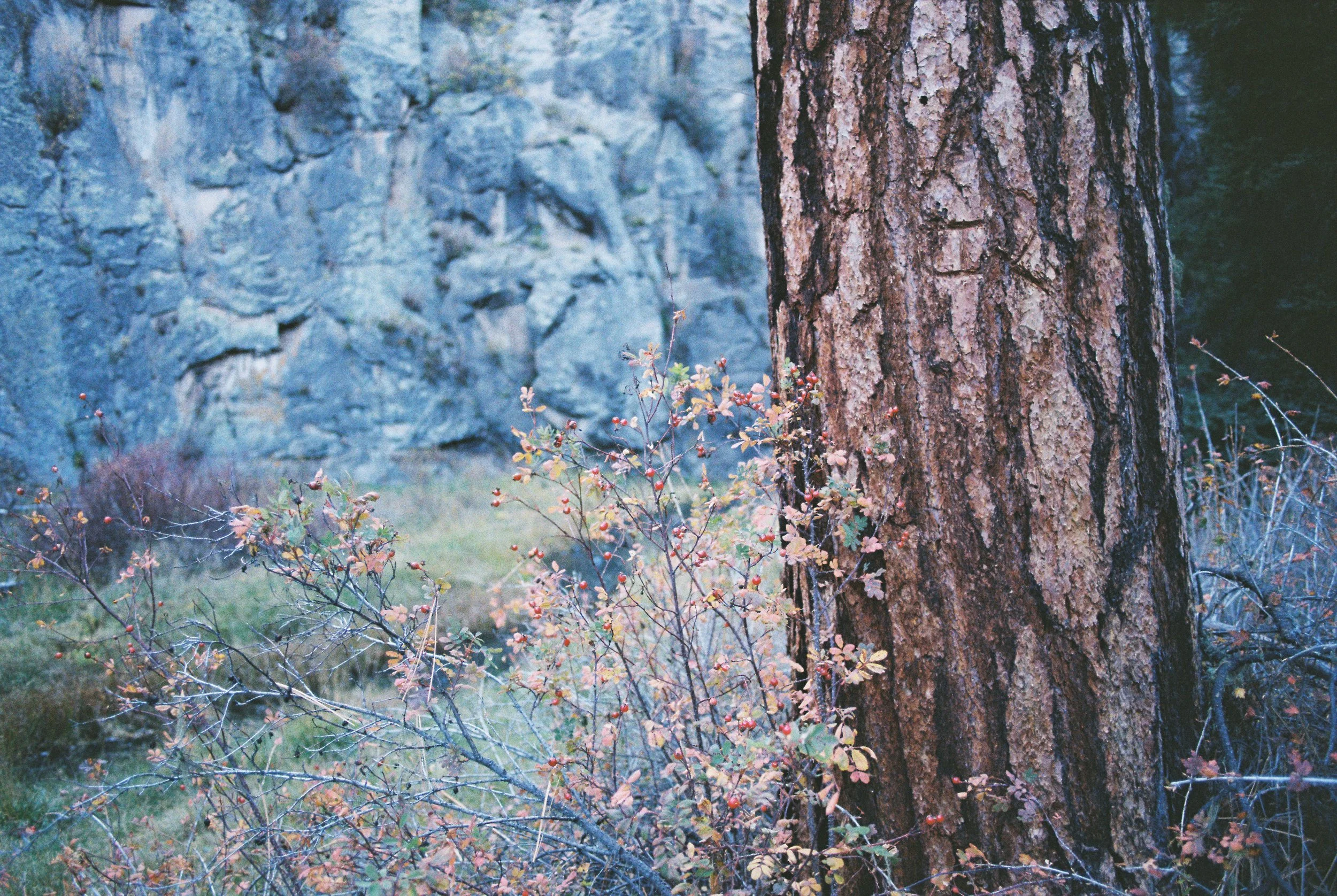 AW_1758_Pro Image 100_016851-R1-062-29A (3).jpg