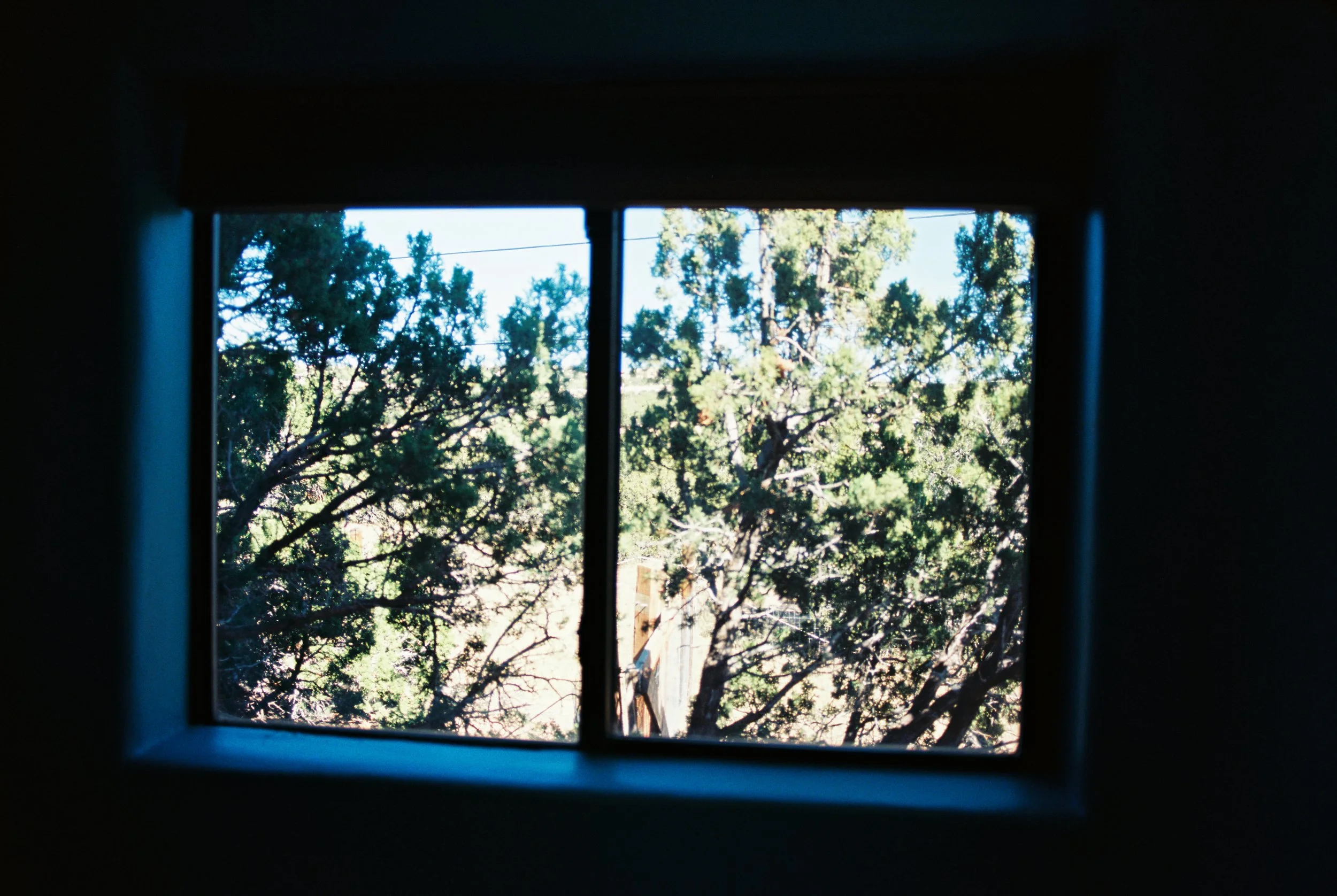 AW_1753_Ektar 100_016845-R1-026-11A (2) (1).jpg