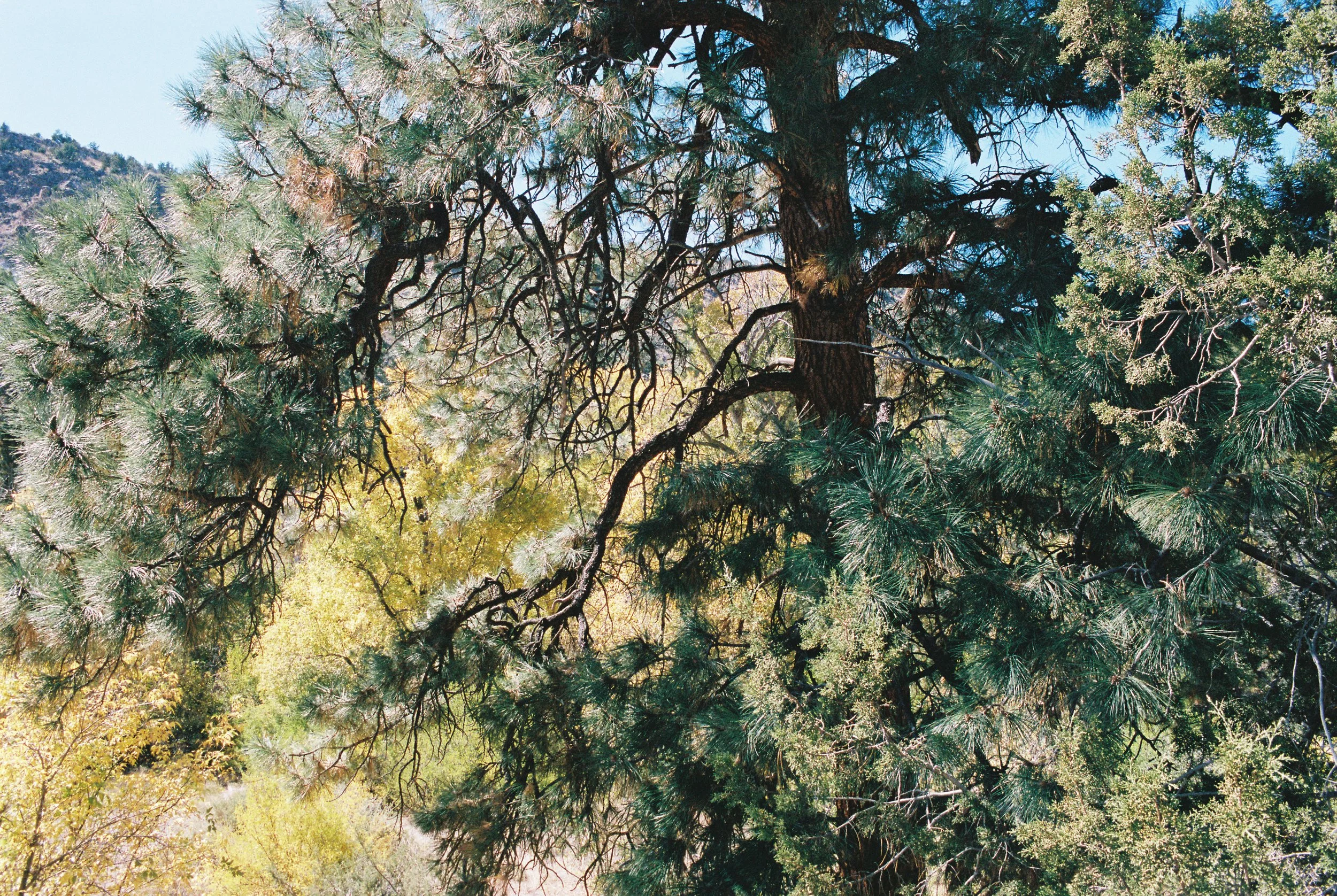 AW_1760_Portra 400_016853-R1-034-15A (1) (1).jpg