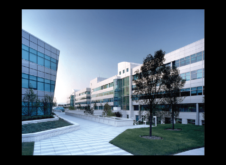 PROGRESSIVE CAMPUS I — BIALOSKY NEW YORK