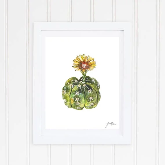 Janice Nelson Made in USA 8x10 Watercolor Cactus Print Southwestern Painting Frame