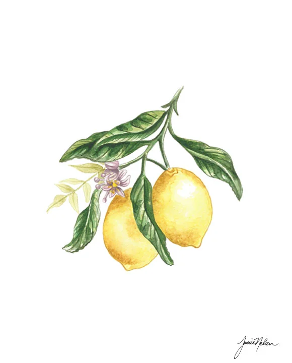 Janice Nelson Made in USA 8x10 Watercolor Lemon Print