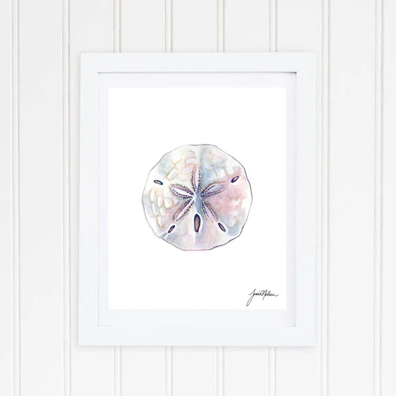 Janice Nelson Made in USA 8x10 Watercolor Sand Dollar Print Frame