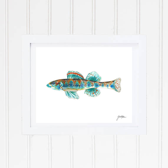 Janice Nelson Made in USA 11x14 Watercolor Fish Print Frame