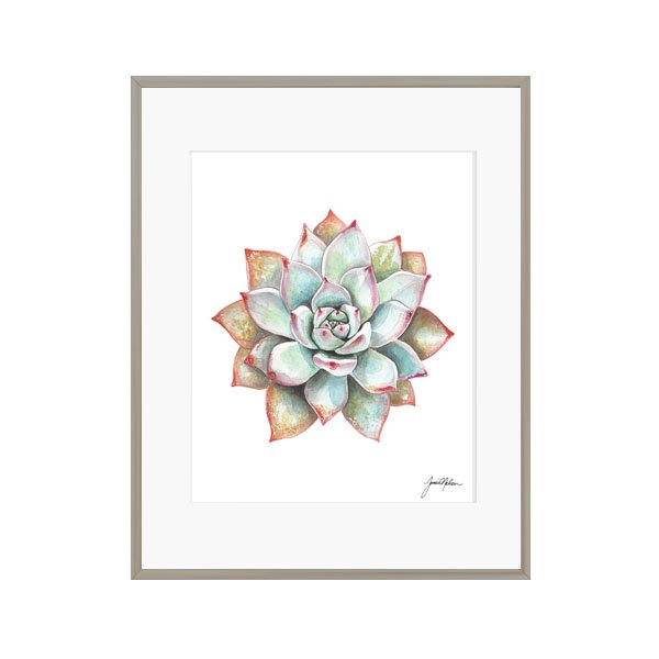 Janice Nelson Designs  Succulent Print