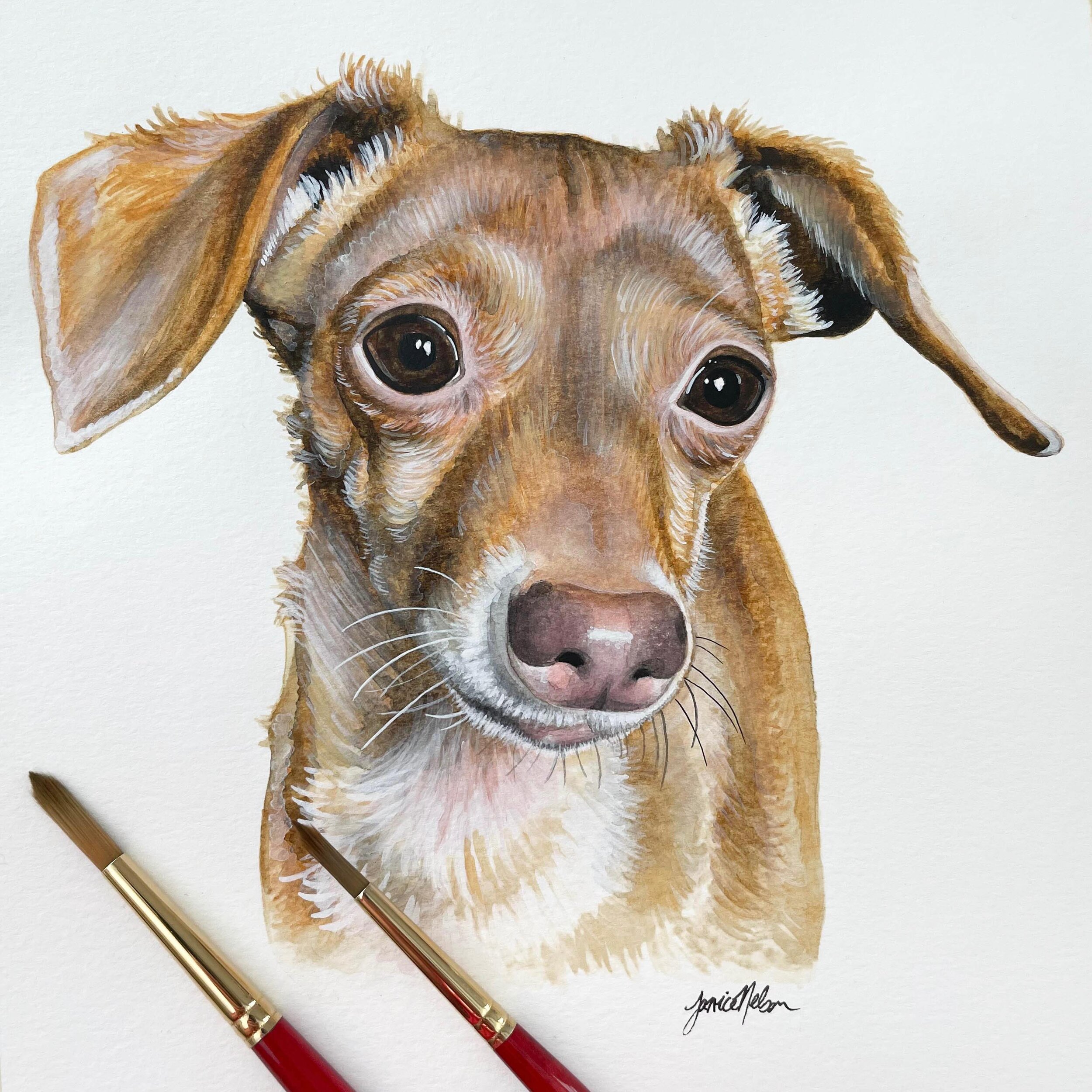 A custom watercolor of a doxie mix named Maple! The warm maple and mauve tones in her fur gave the painting life, along with a quirky floppy ear! Contact me to have me create a custom pet portrait for you or as a gift🐕🍁