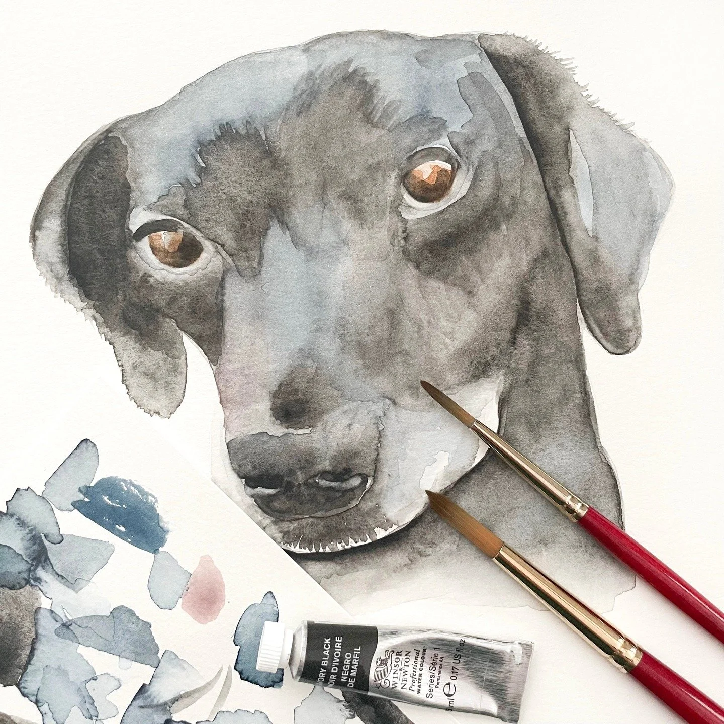 Black, deep blue, and the slightest hints of mauve build the foundation for this custom watercolor black lab! 🦮🐾