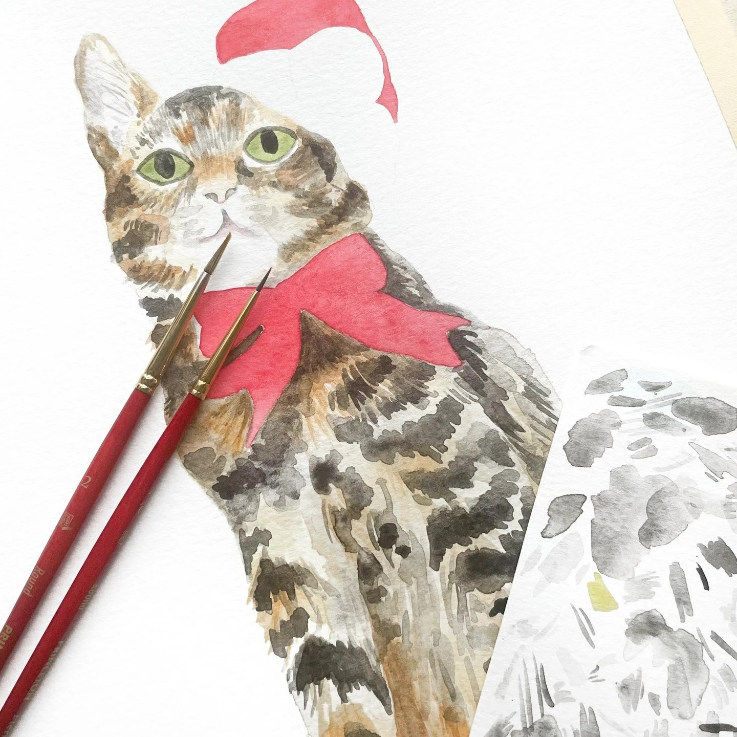 A jolly cat with a Santa hat and a big red bow underway! 🎄🎅
