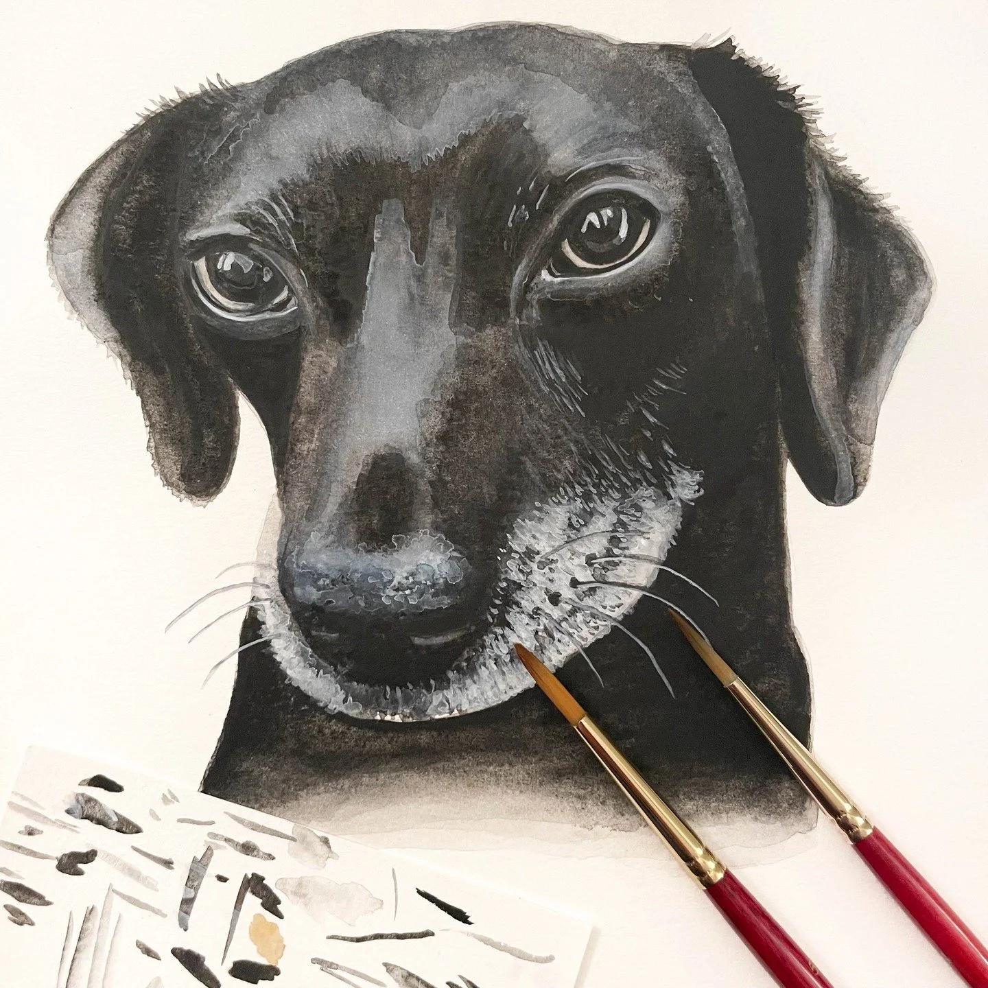 Another custom watercolor pet portrait of a cute pup named Presto! 🐾🐕&zwj;🦺