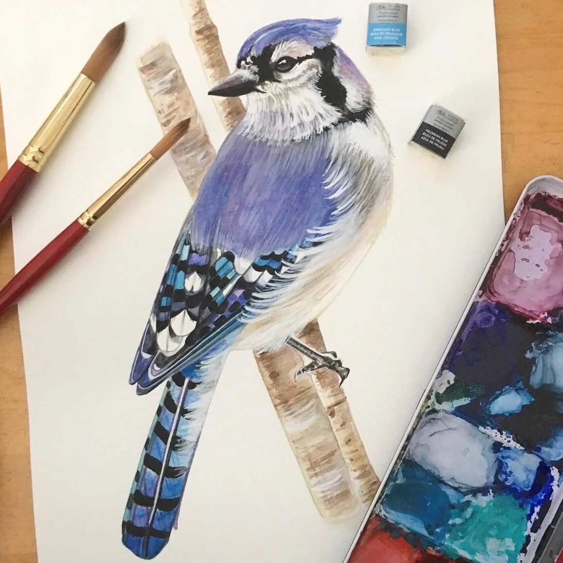 Going through past projects and looking to turn some of my favorite watercolors into art prints - this Bluejay will definitely be on the list! 🎨