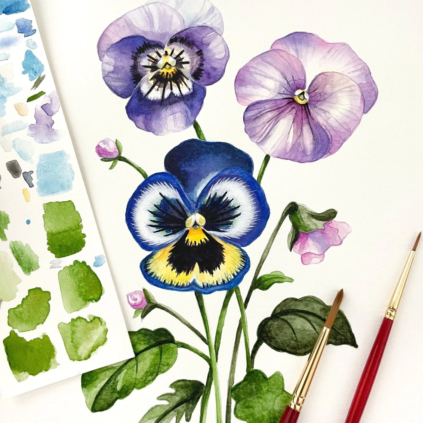 These watercolor pansies really come to life with bold shades of azure, fuchsia, plum, and canary yellow! Soon to be part of a series of new art prints 🌼🖌️
