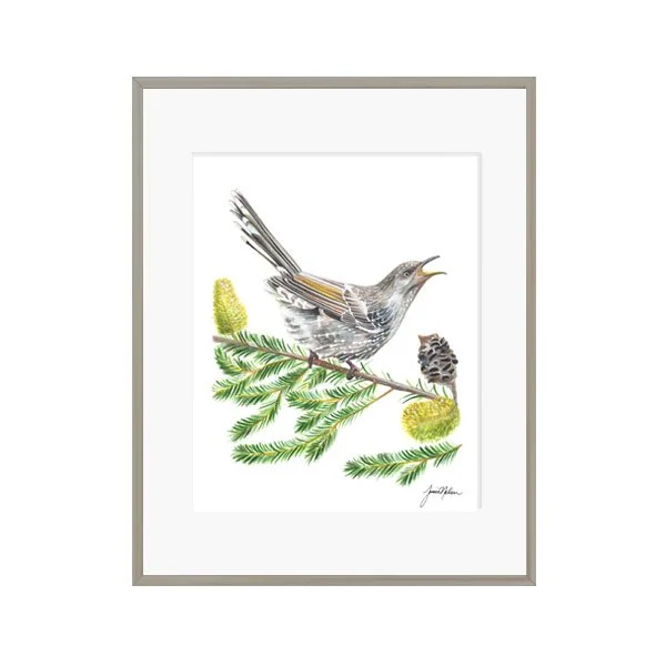 Janice Nelson 8x10 Watercolor Brown Songbird on Branch Print Bird Painting