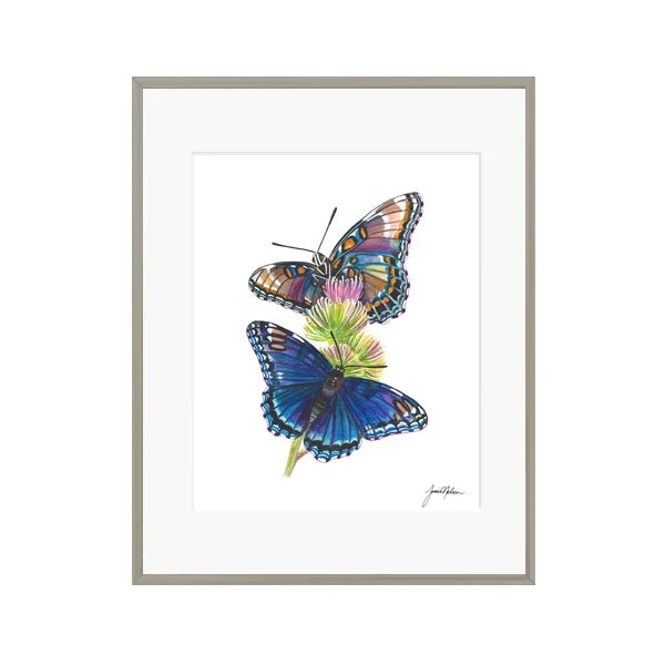 Janice Nelson 8x10 Watercolor Butterfly Print Floral Painting