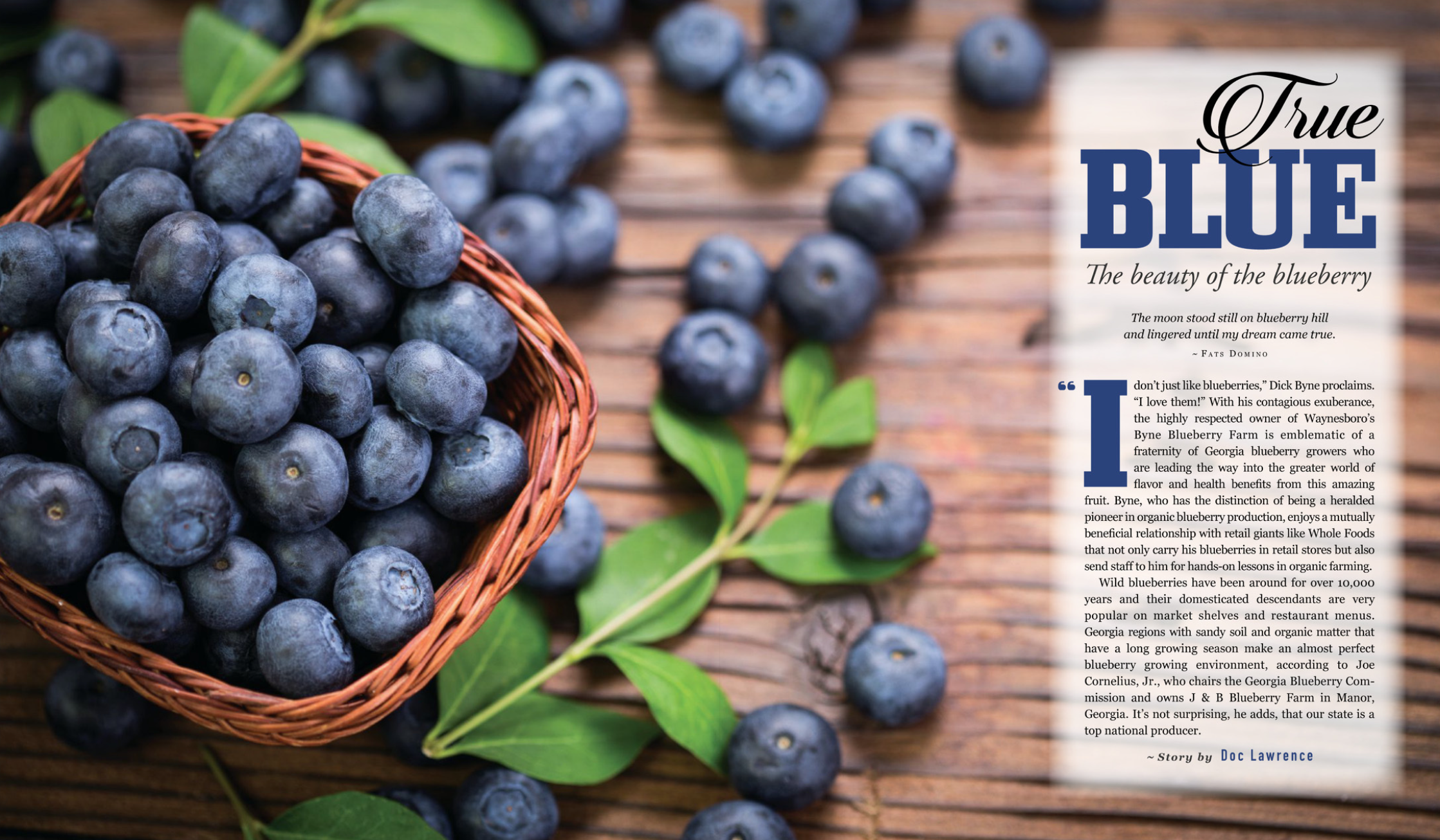 Blueberries are loaded with health benefits. They are a major part of Georgia's agricultural production and are wildly popular with cooks and bakers. Organic blueberries? Yes, indeed. Blueberry wine? Delicious. You pick 'em? Pure fun. Enjoy the story and the original recipes in the new edition of Georgia Connector .
