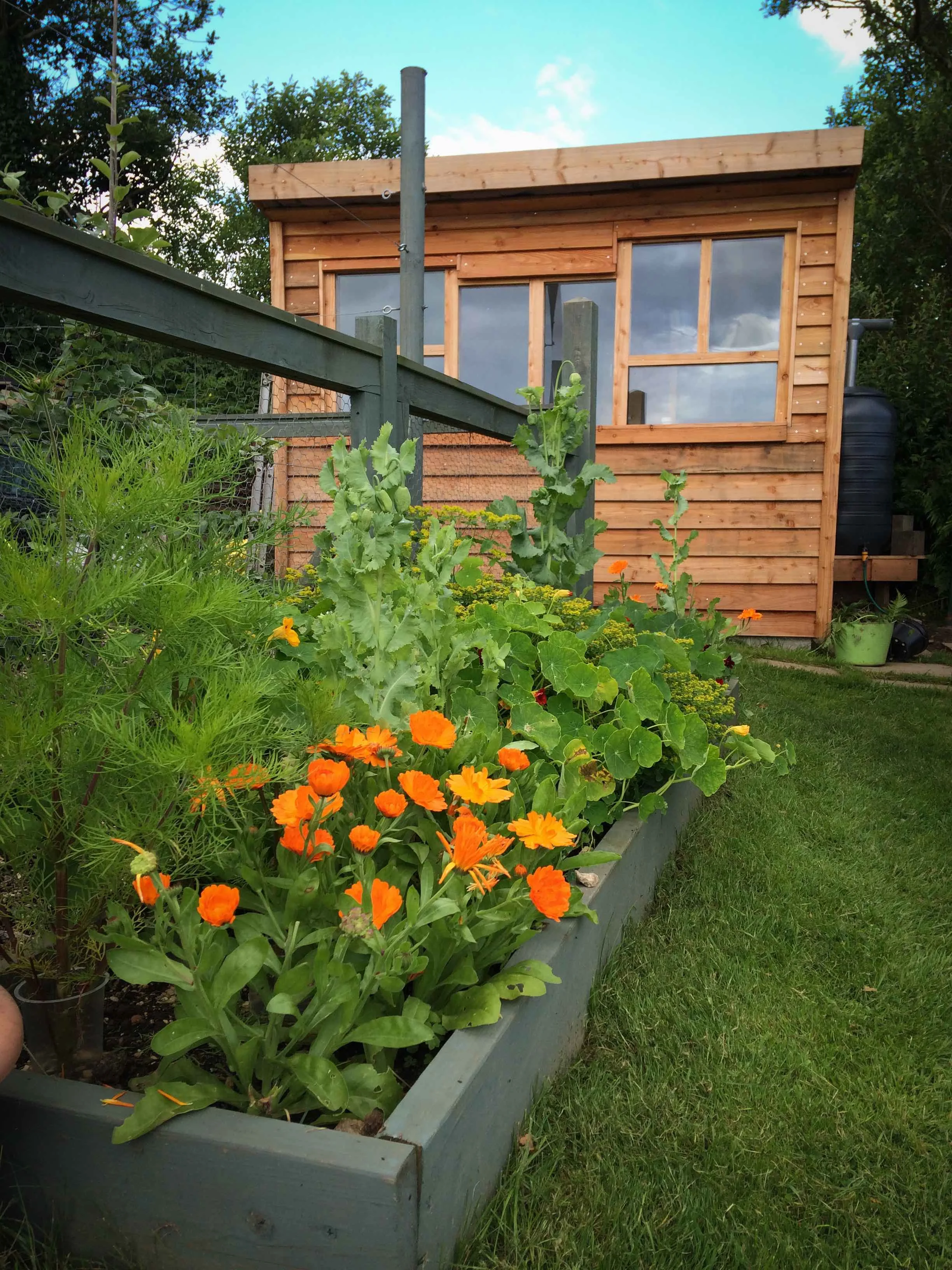 Potting shed