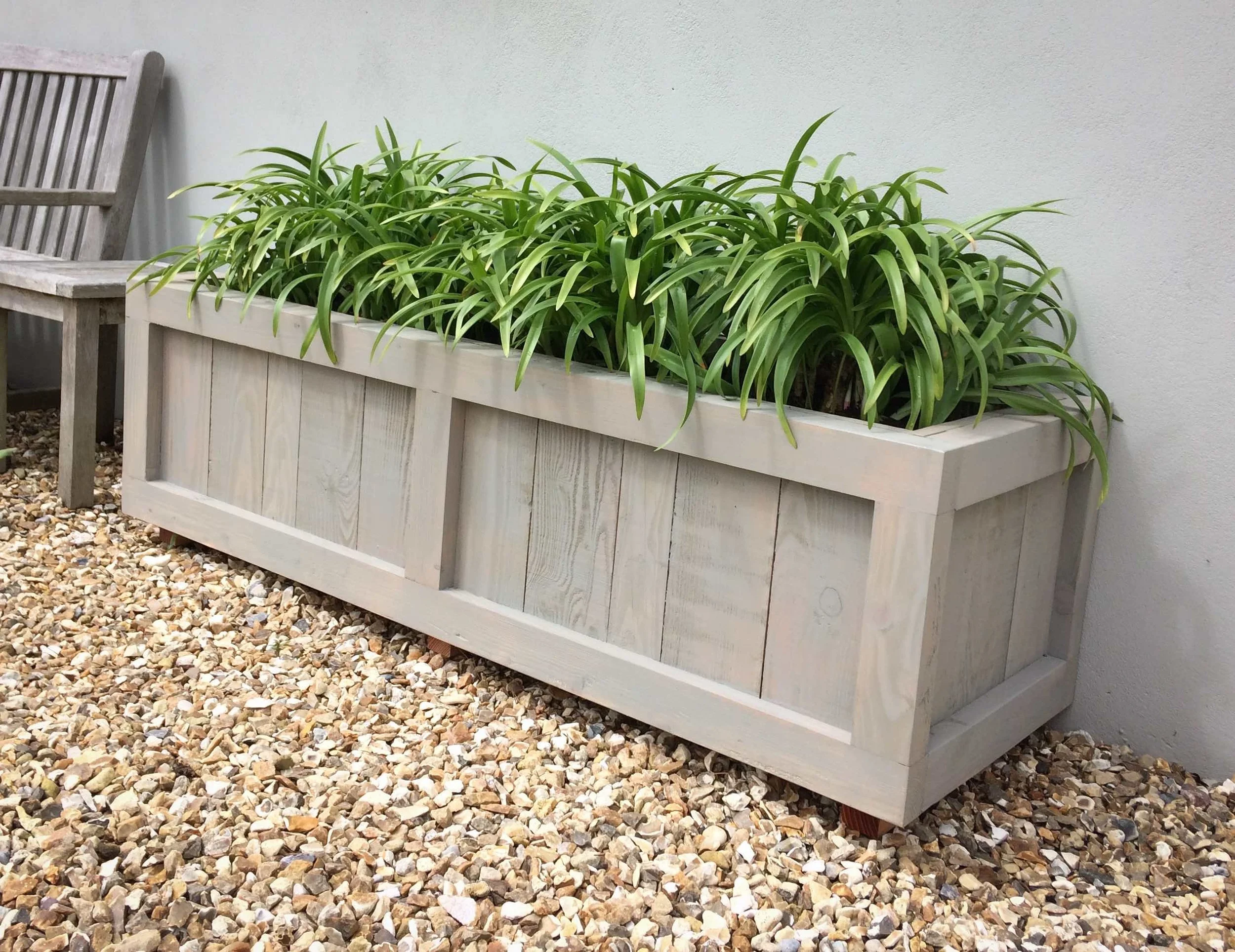Larch planter