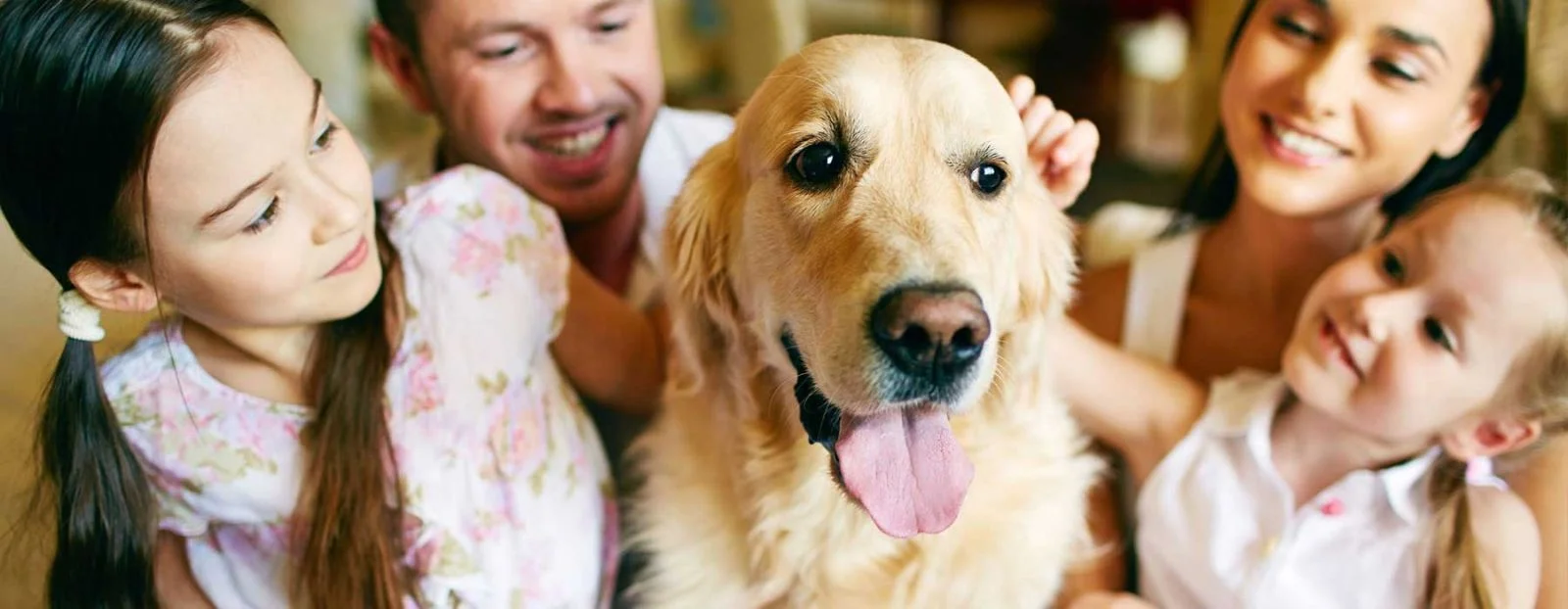 Dog cuddles.jpg