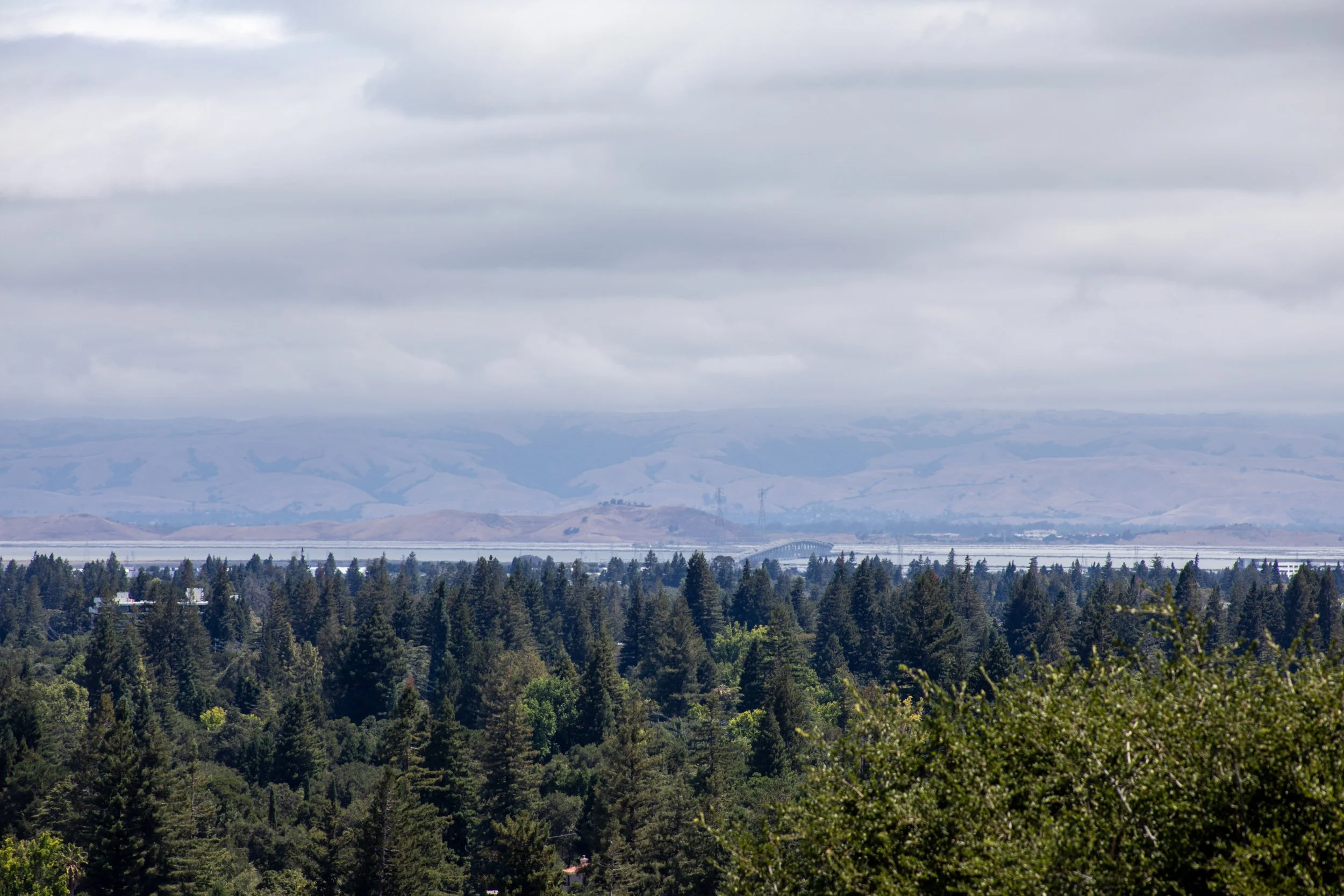 9-SusanGale_Matt_Anello-8227-MLS.jpg