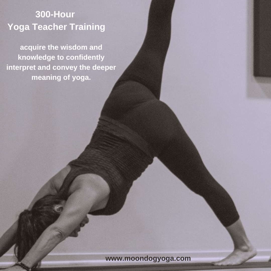 why a 300-Hour ytt is the next step for experienced teachers