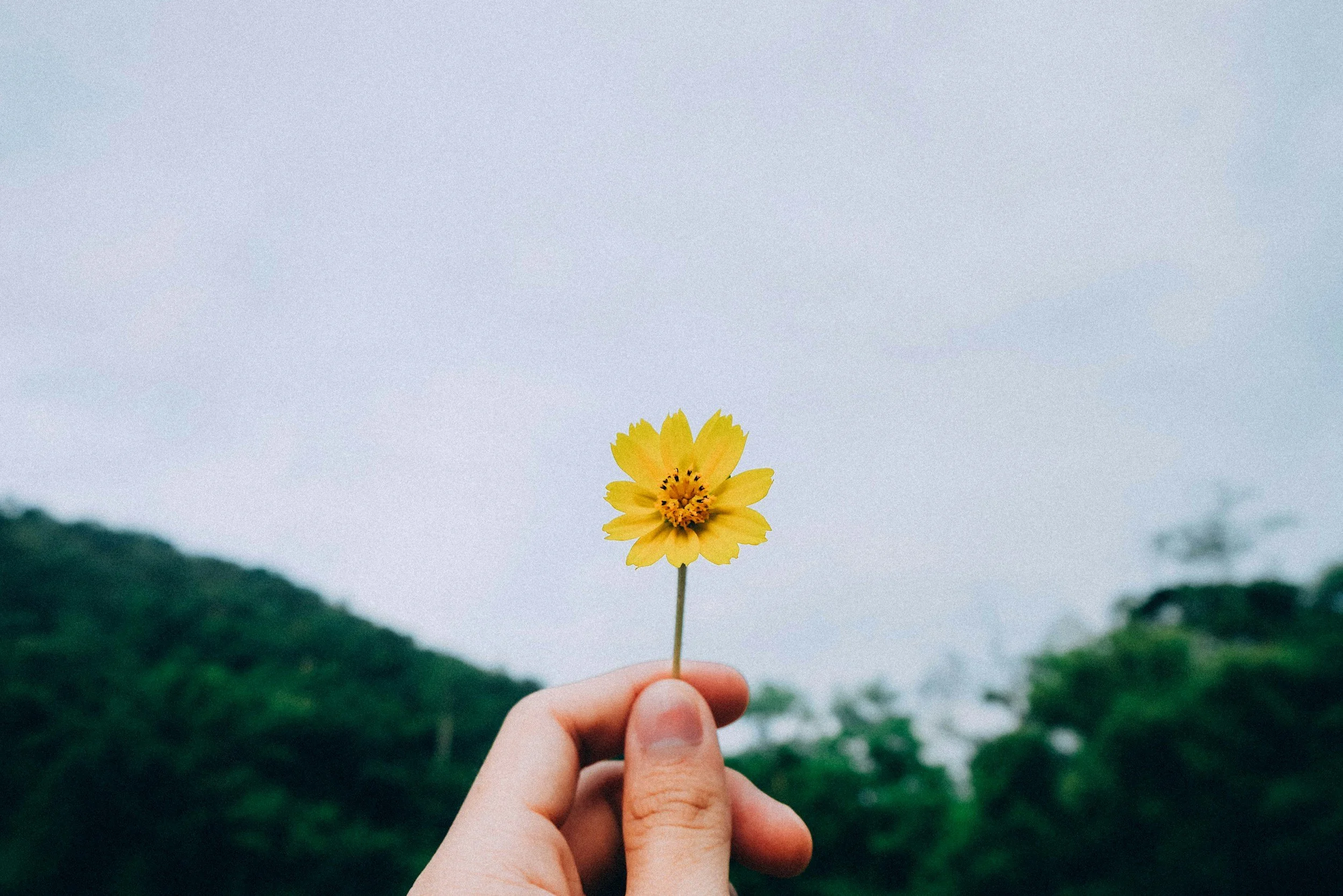 	 interconnectedness and kindness