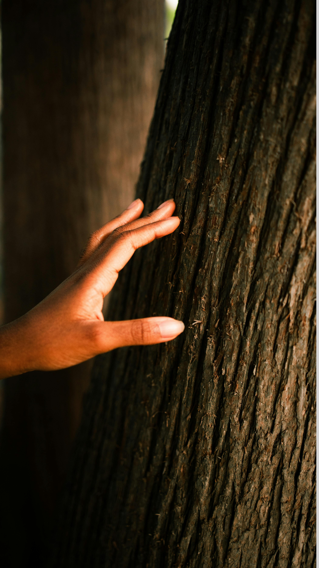 brahmacharya: honoring my energy through boundaries and balance