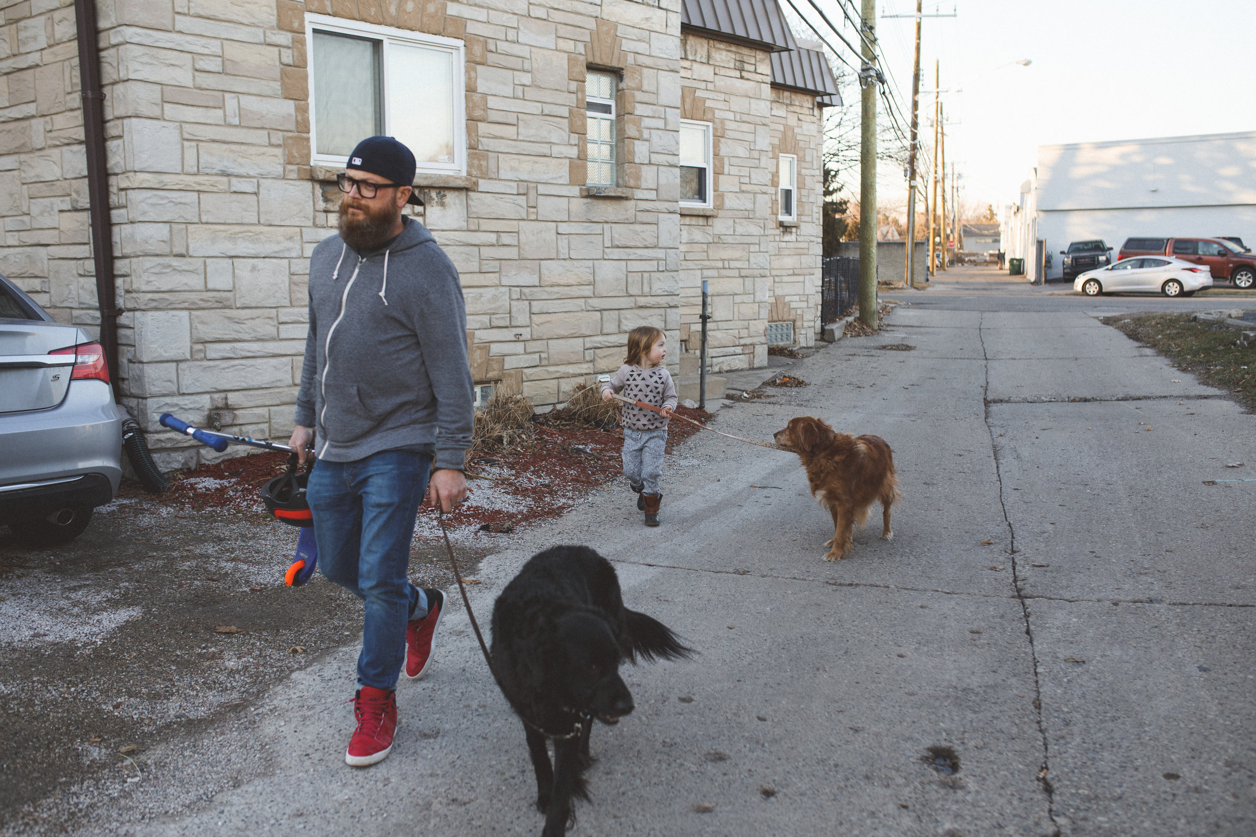 Little boy and dad walking their dogs.