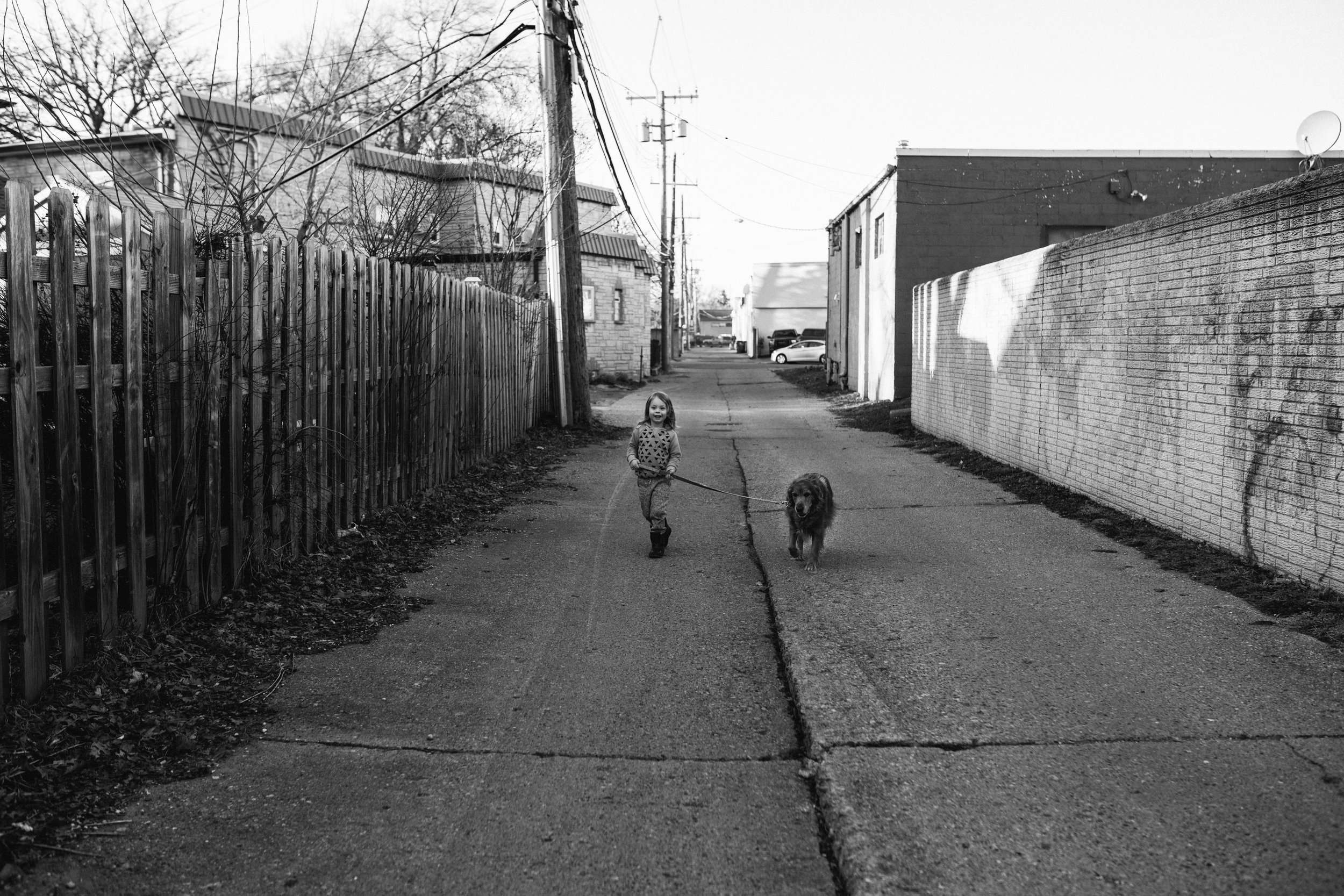 Little boy walking dogs in alley.