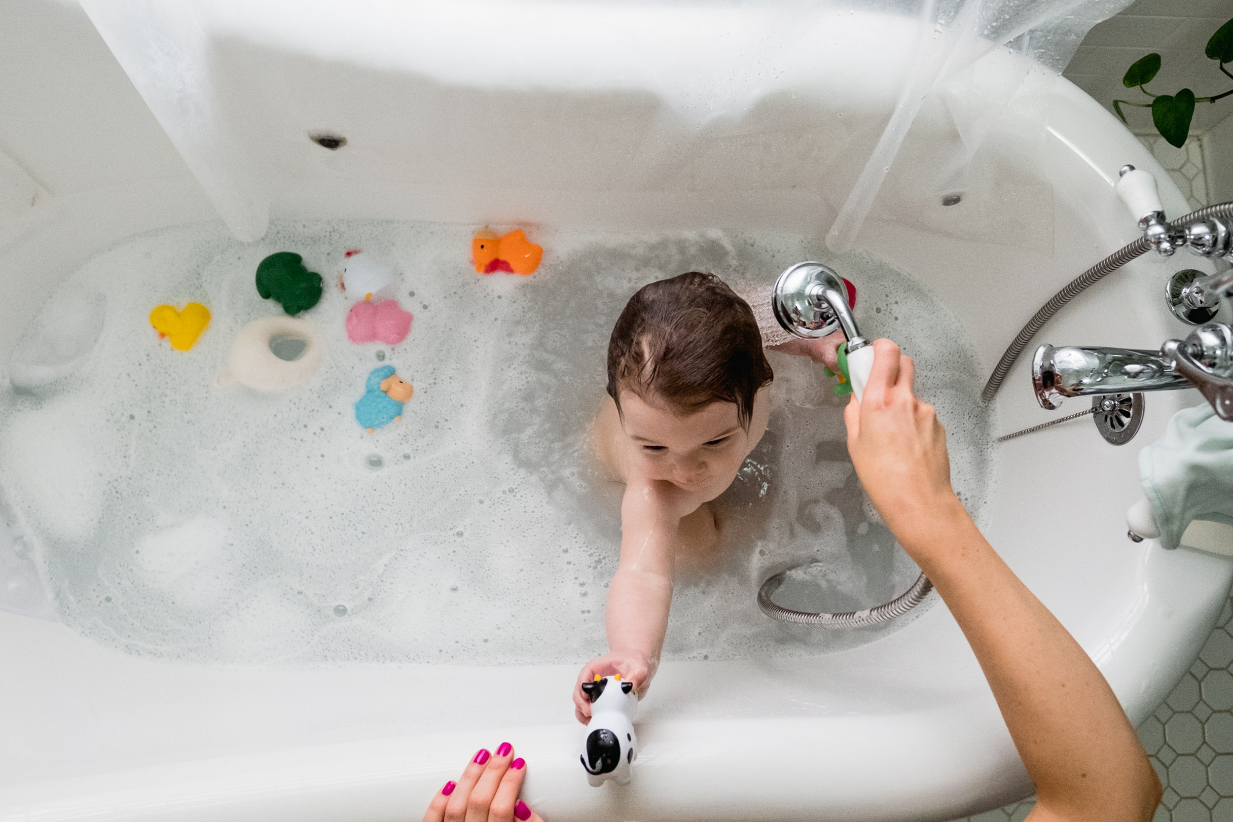 Bath time in the claw foot tub. Royal Oak Family Photographer. Detroit Family Photographer.