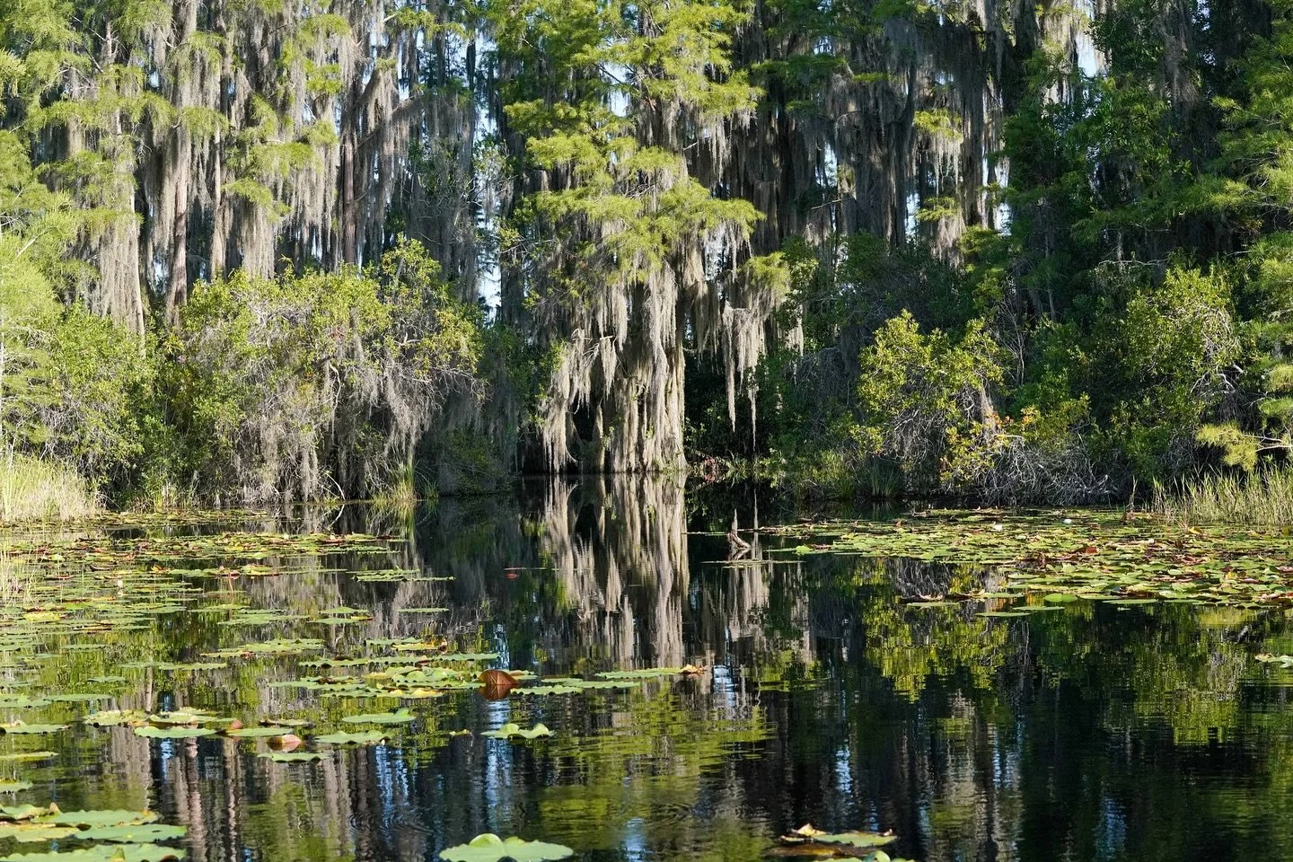 When a mining project seemed on the verge of approval near the Okefenokee Swamp, The Conservation Fund stepped in with a $60 million deal to halt the development, safeguarding the vast wetland in Georgia and Florida &mdash; home to 700 square miles o