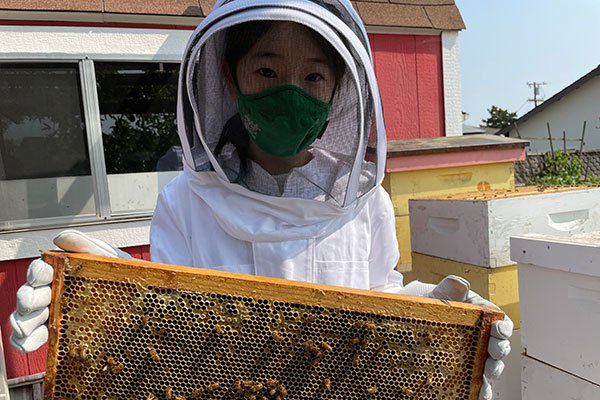 A Young Eco-Hero Award Winner in protective beekeeping attire holding a hive frame full of bees, with beehives visible in the background.