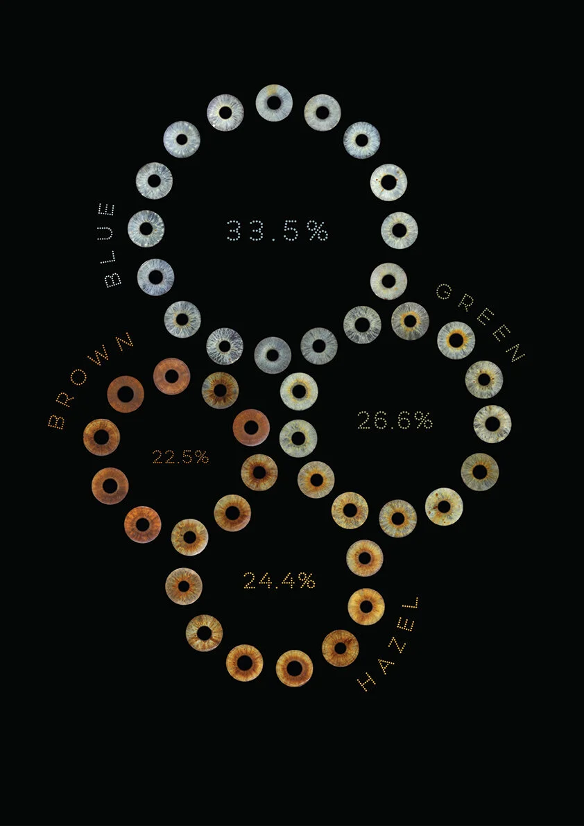Copy of Copy of Eyecon_colour data lr.jpg