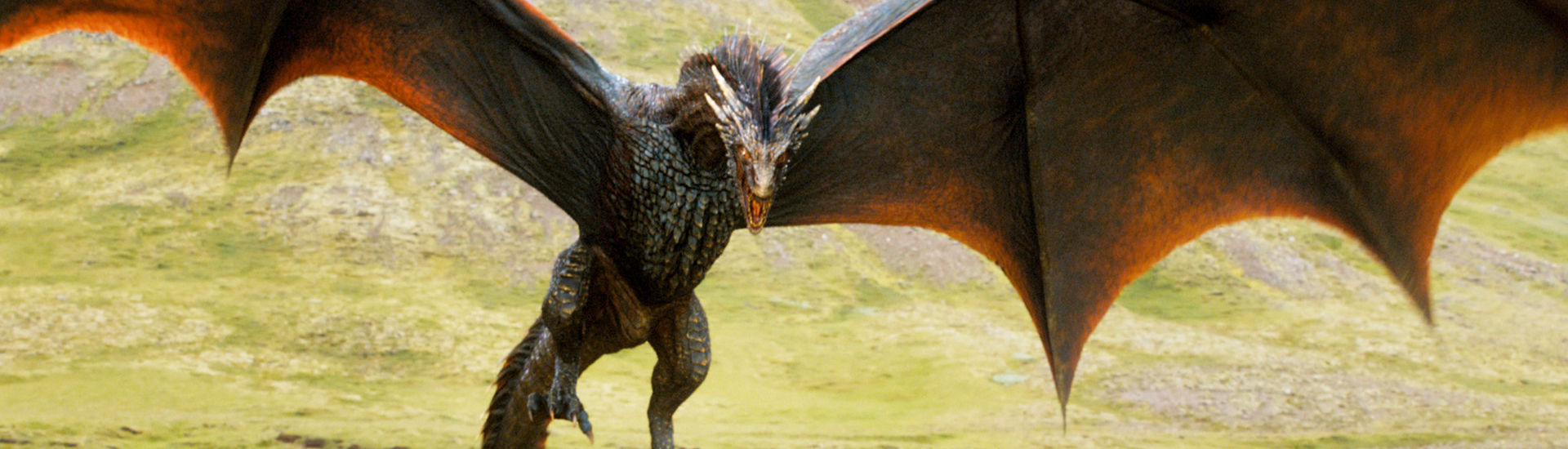 TargaryenBanner.jpg